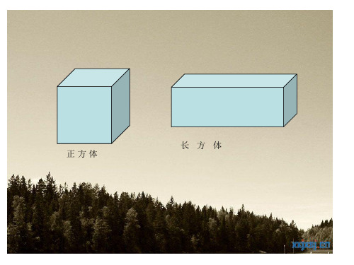 认识圆柱ppt课件