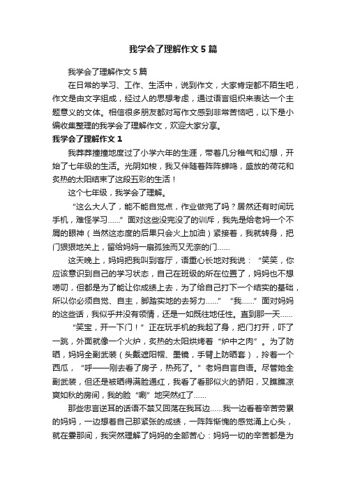 我学会了理解作文5篇