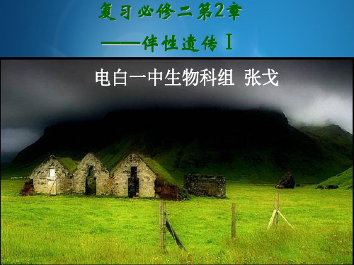 高三一轮复习伴性遗传公开课优秀课件