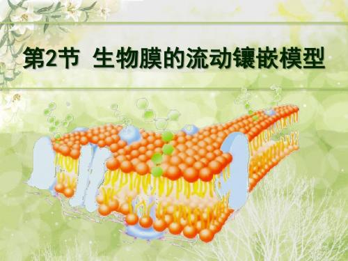 必修一第4章第2节生物膜的流动镶嵌模型