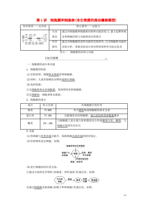 高考生物一轮复习第二单元 第1讲细胞膜和细胞核含生物膜的流动镶嵌模型教案新人教版