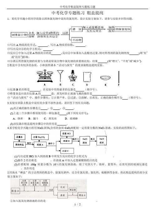 中考化学粗盐提纯专题练习题精选版