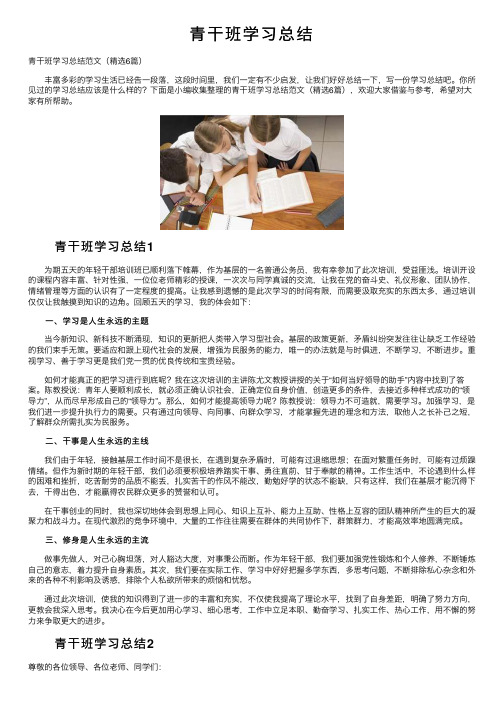 青干班学习总结