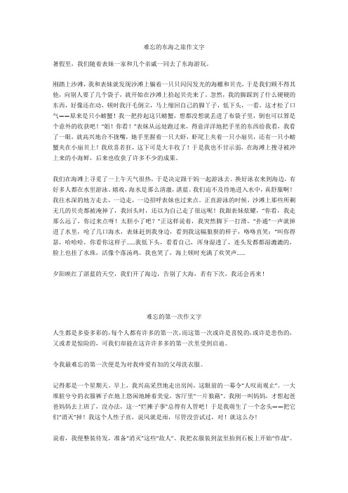 难忘的第一次作文900字