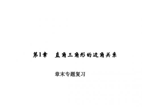 九年级下册数学(北师大)课件:章末专题复习1