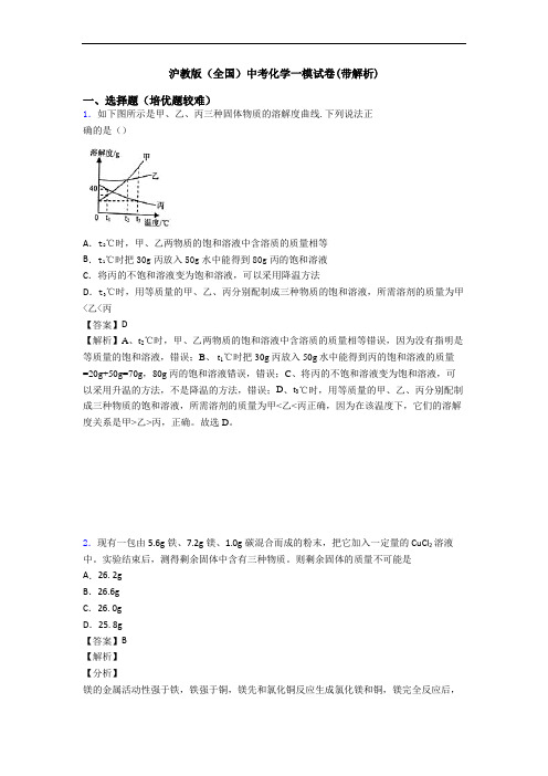 沪教版(全国)中考化学一模试卷(带解析)