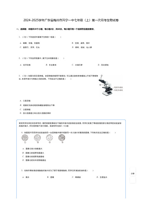 初中生物 人教2024版习题 2024-2025学年广东省梅州市兴宁七年级(上)第一次月考生物试卷