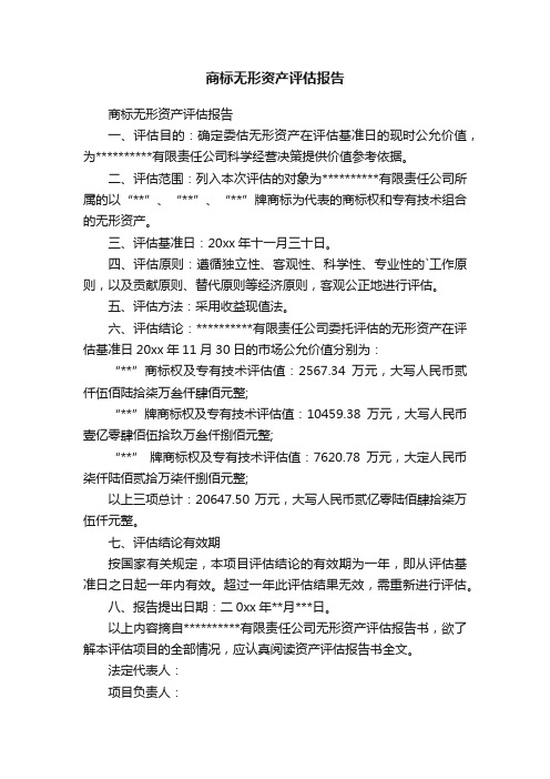 商标无形资产评估报告