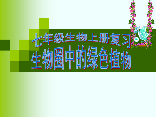 【中考复习】生物圈中有哪些绿色植物