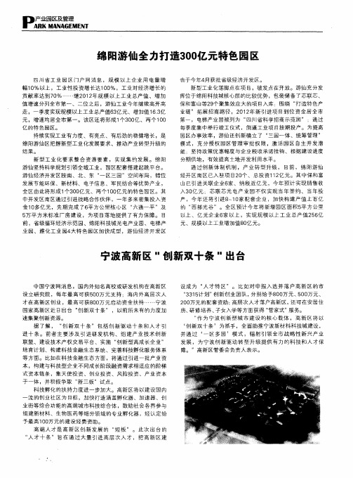 宁波高新区“创新双十条”出台