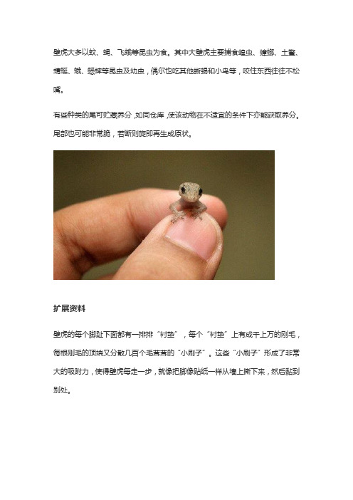 壁虎喜欢吃什么食物