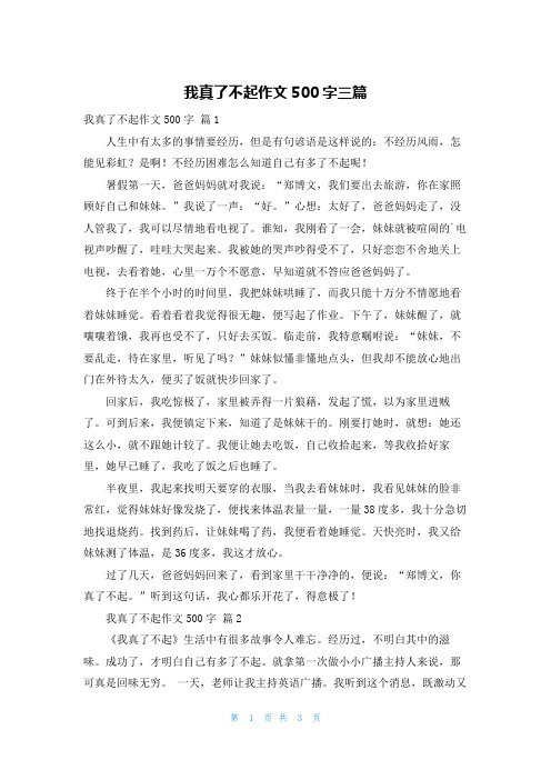 我真了不起作文500字三篇