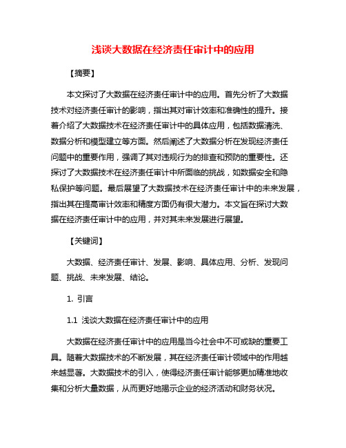 浅谈大数据在经济责任审计中的应用