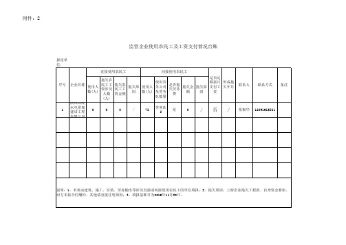 拖欠农民工工资专项治理台账(11月25日)(1)