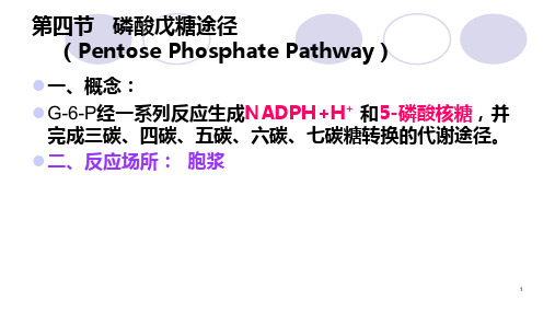 糖类代谢—磷酸戊糖途径