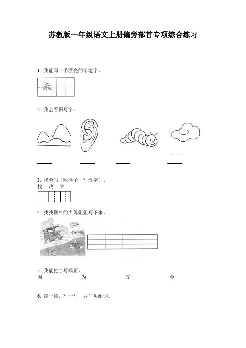 苏教版一年级语文上册偏旁部首专项综合练习