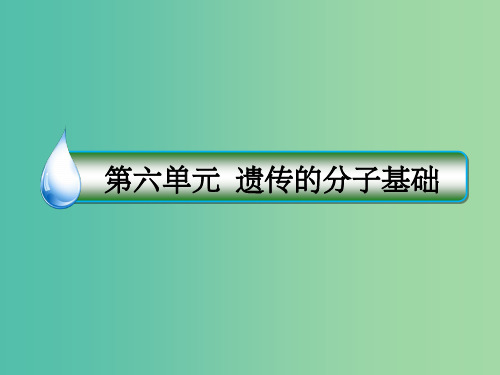 高考生物一轮复习 第六单元 遗传的分子基础 第20讲 DNA分子的结构、复制及基因是有遗传效应的DN