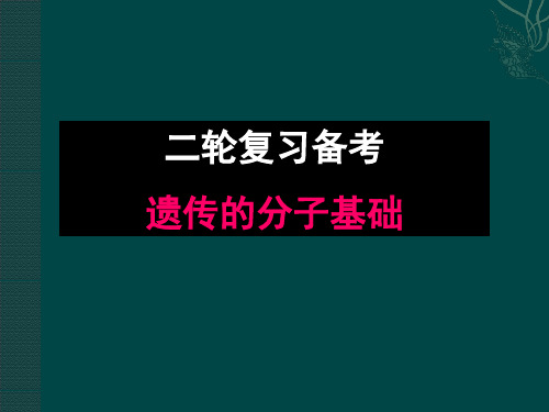 二轮专题复习遗传的分子基础