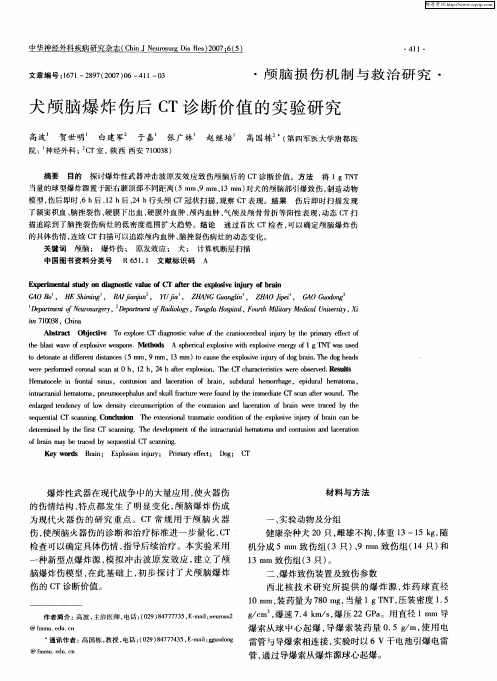 犬颅脑爆炸伤后CT诊断价值的实验研究