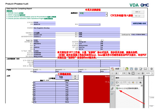 VDA 6.3-2016过程审核检查表及报告(中英文功能强大版)