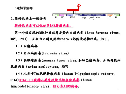 反转录病毒及反转录转座子