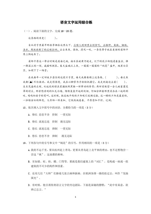 高三上学期期中考试语文语言文字运用综合练