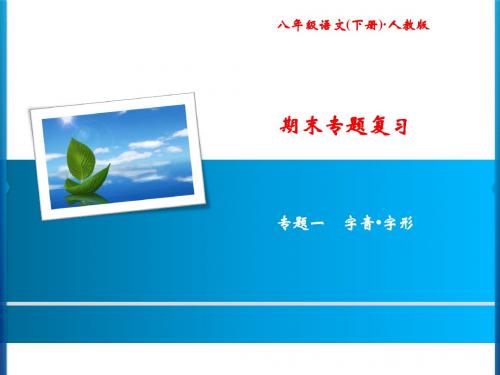 2017人教版八年级语文下册期末专题复习 专题一 字音