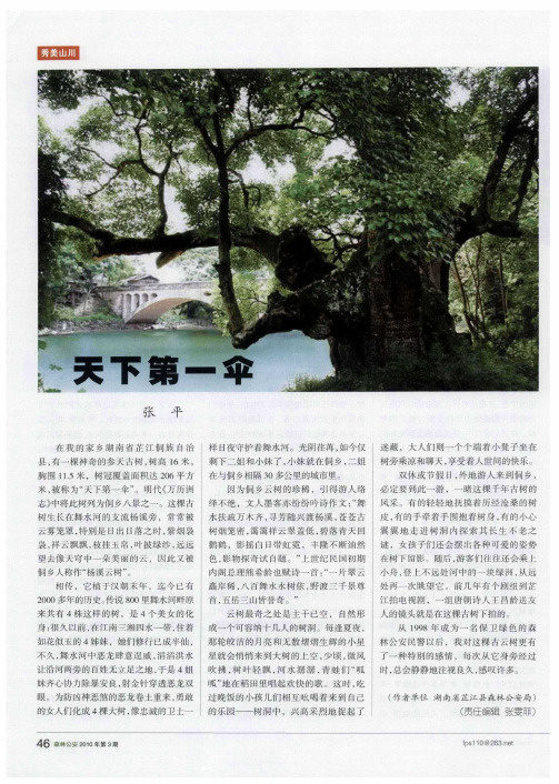 天下第一伞
