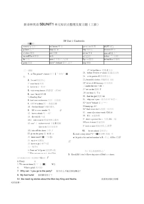 【个人精心制作】新译林小学英语5BUNIT1单元知识点整理及复习题(三套),推荐文档