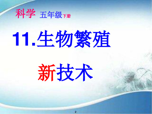 五年级科学下册_11生物繁殖新技术2鄂教版标准课件