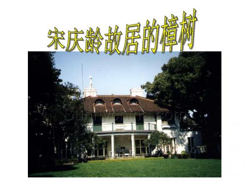 苏教版小学语文四年级下册《宋庆龄故居的樟树》课件