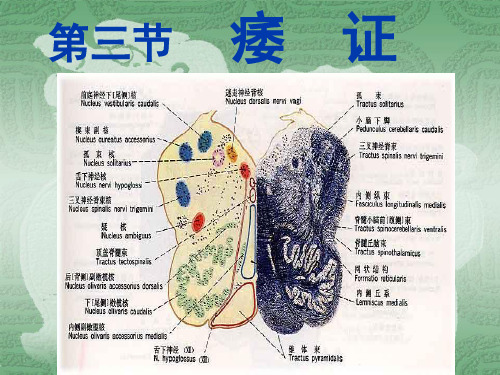 中医内科学痿证精品文档