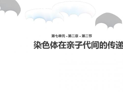 人教版新课程标准《基因在亲子代间的传递》课件ppt