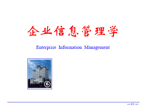 企业信息化建设项目的实施(PPT)