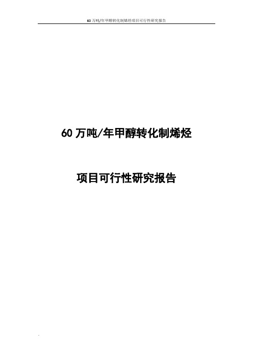 年产60万吨甲醇转化制烯烃项目可行性研究报告