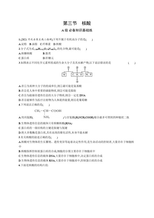 高中化学《选择性必修3有机化学基础》课后习题word第三节 核酸