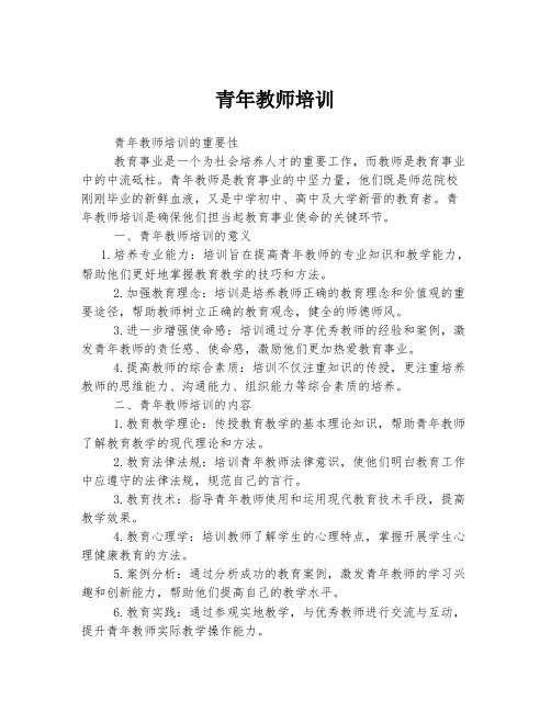 青年教师培训