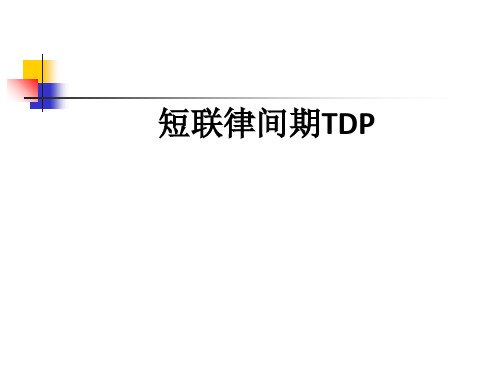 短联律间期TDPppt课件