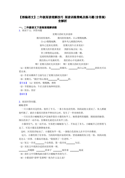 【部编语文】二年级阅读理解技巧 阅读训练策略及练习题(含答案)含解析