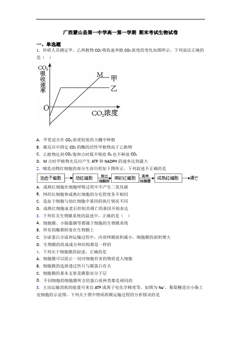 广西蒙山县第一中学高一第一学期 期末考试生物试卷