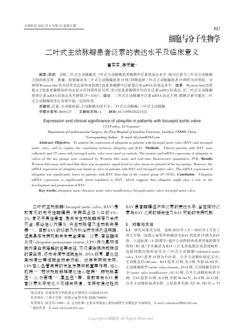 二叶式主动脉瓣患者泛素的表达水平及临床意义