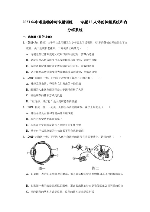 2021年中考生物冲刺专题训练——专题12人体的神经系统和内分泌系统   解析版