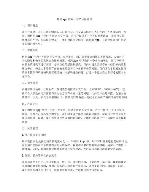 树洞app创业计划书风险管理