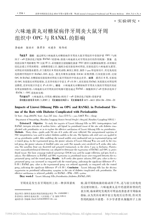 六味地黄丸对糖尿病伴牙周炎大鼠牙周组织中OPG与RANKL的影响_李晓峰
