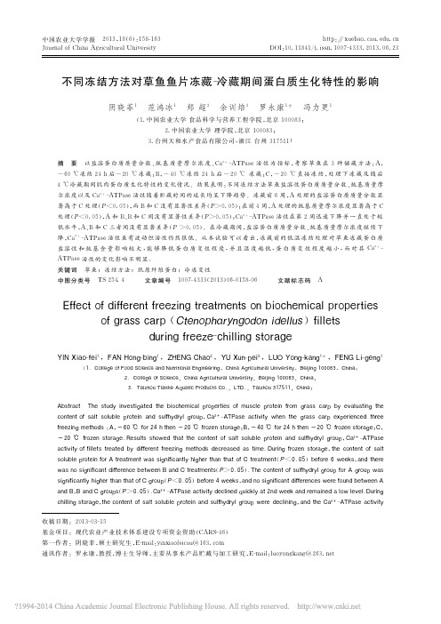 不同冻结方法对草鱼鱼片冻藏_冷藏期间蛋白质生化特性的影响_阴晓菲