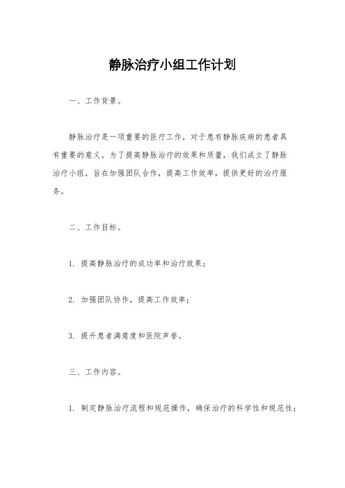 静脉治疗小组工作计划