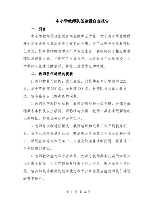 中小学教师队伍建设自查报告