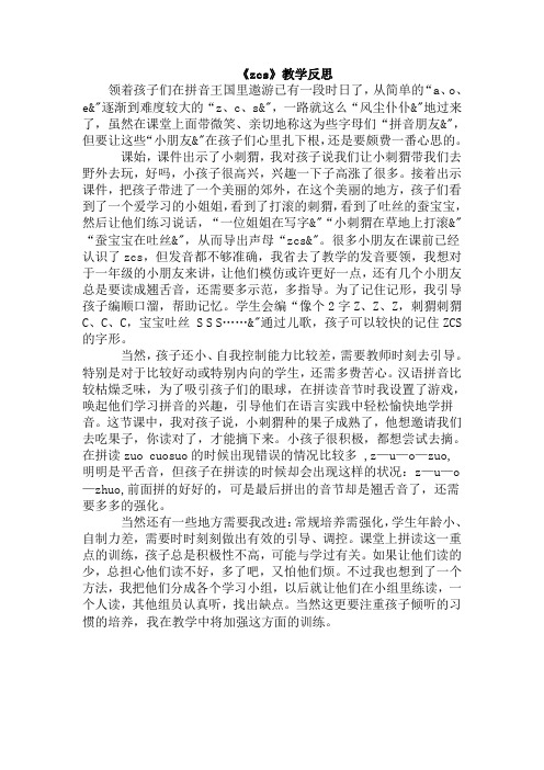 《zcs》教学反思