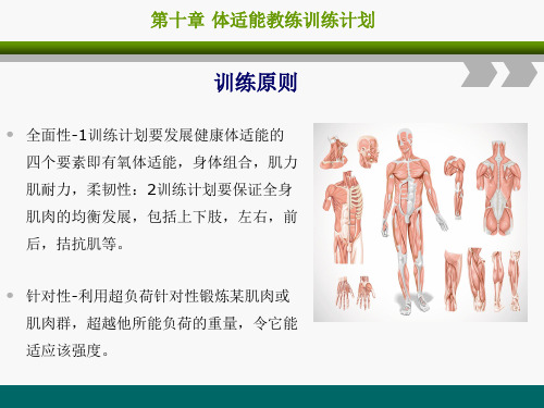 健身教练培训课程第十章《体适能教练训练计划》