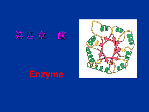 生物化学-第三章酶